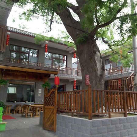 Beijing Great Wall XI Shui Yu Cun Li Bao Zhong Homestay Xinying Eksteriør billede